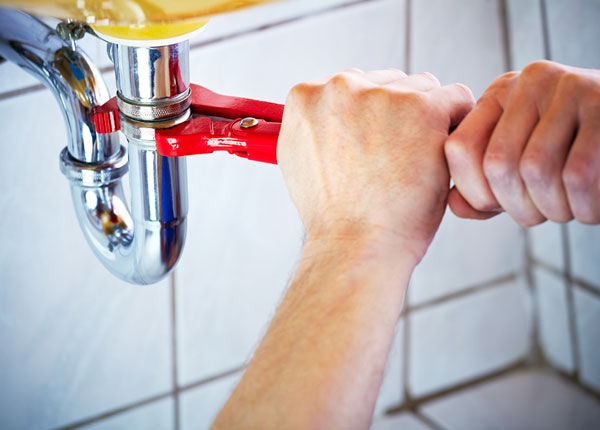 About Ridott Plumbers